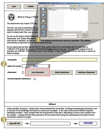 BSA E-Filing Sample Batch Form